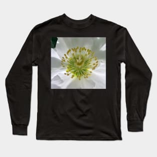 Lit from Inside Long Sleeve T-Shirt